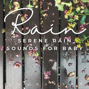 Raindrops and Lullabies: Serene Rain Sounds for Baby - Sample Rain Library