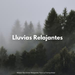 Música De Lluvias Relajantes Para La Tranquilidad - Lluvia del Pacifico
