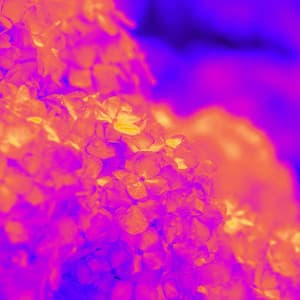 Delightful Music for Acoustic Dreaming - Piano Bossa Nova Duo - Relaxing Jazz Music