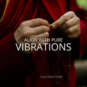 Align With Pure Vibrations: Rebalancing Through Sacred Frequency - Lama Dorje Norbu