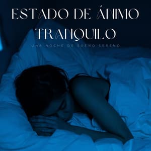 Estado De Ánimo Tranquilo: Una Noche De Sueño Sereno - Ruido relajante y sonidos para dormir