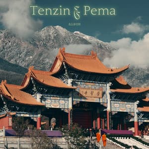 Healing Sounds Debut Album - Tenzin and Pema