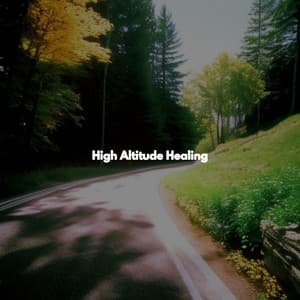 High Altitude Healing - Cafe BGM Japan