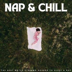 Nap & Chill: The Best Water Streams Sounds To Sleep & Nap - Timmy Sleepsounds