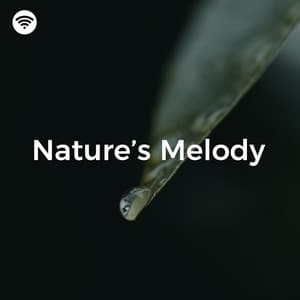 Nature's Melody: Rain Serenade - Sons De Chuva