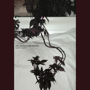 Didymoi Dreams - Sidsel Endresen