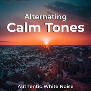 Alternating Calm Tones - Authentic White Noise