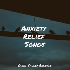 Anxiety Relief Songs - Sounds of Nature White Noise Sound Effects