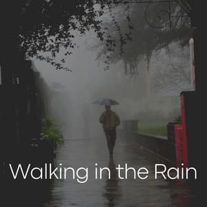 Walking in the Rain - Rainy Dreaming