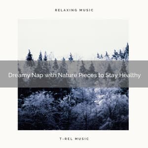 2020 Best: Dreamy Nap with Nature Pieces to Stay Healthy - Natural Rain for Baby Sleep