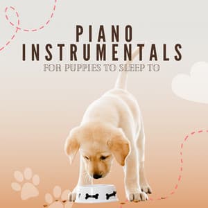 Piano Instrumentals For Puppies To Sleep To - Pet Music Therapy