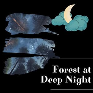 Forest at Deep Night - Night Sounds Channel
