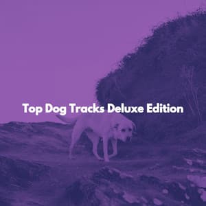 Top Dog Tracks Deluxe Edition - Hotel Jazz Music