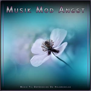 Musik Mod Angst: Musik Til Depression Og Helbredelse - Musik Mod Angst