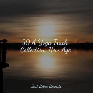 50 A Yoga Track Collection: New Age - Easy Sleep Music