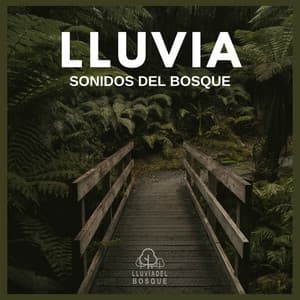 Lluvia: Sonidos del Bosque - Lluvia Del Bosque