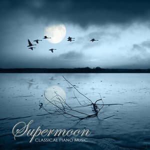 Supermoon: Dreamer Classical Sweet Piano Music, Romantic Songs for Moonlight - Moonlight Dreaming