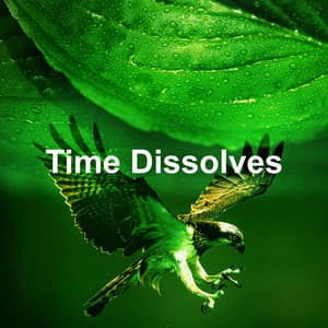Time Dissolves - Sleep Songs Divine