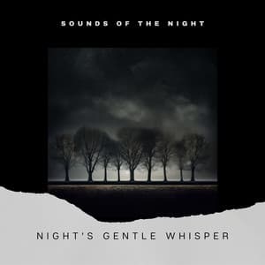 Night's Gentle Whisper - Sounds of the Night
