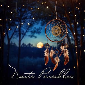 Nuits Paisibles - Pluie relaxante