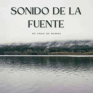 Sonido De La Fuente De Agua De Bambú - Paisaje sonoro de agua goteando