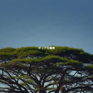 ポップな植物 - Fun Jazz