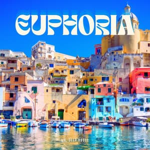 Euphoria: Top Deep House Songs - Mr. Deep House