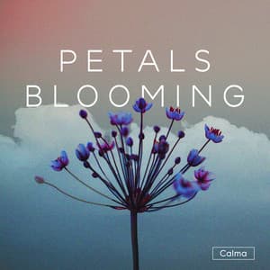 Petals Blooming - Calma