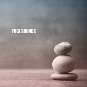 Yogi Sounds - Relaxing Mindfulness Meditation Relaxation Maestro