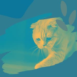 Music for Pure Cats - Cat Music Waves