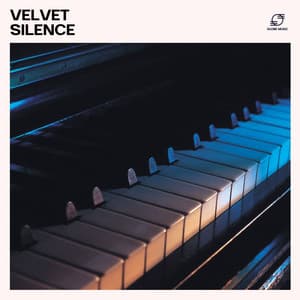 Velvet Silence - Piano Bar Music Specialists