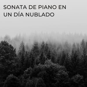 Sonata De Piano En Un Día Nublado - Fábrica de Sonidos de Lluvia STHLM