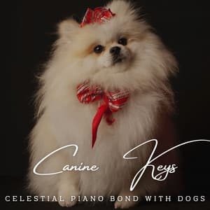 Harmonious Canine Keys: Serene Piano Melodies for Dogs - Pianoramix