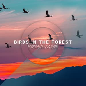 Birds in the Forest: Echoes of Nature for Meditation, Healing Flute & River Sounds - Zen River Meditation