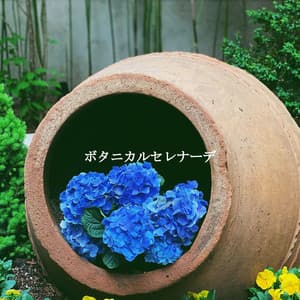 ボタニカルセレナーデ - Cafe Jazz Paris