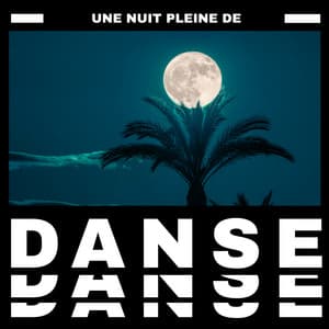 Une nuit pleine de danse - Énergie positive, Mouvements sensuels, Fête latine - Latino Dance Music Academy