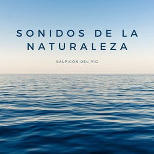 Sonidos De La Naturaleza: Salpicón Del Río - Ruidos de la Selva