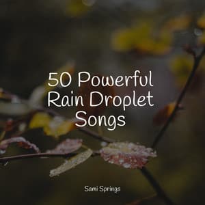 50 Powerful Rain Droplet Songs - Tranquil Music Sounds of Nature