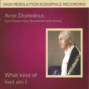 What Kind of Fool Am I - Arne Domnérus