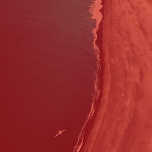 Music for REM Sleep - Glockenspiel Music - World Recorders