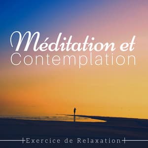 Méditation et Contemplation - Exercice de Relaxation, Musique Zen de Fond, Calme Intensive New Age - Oasis of Meditation