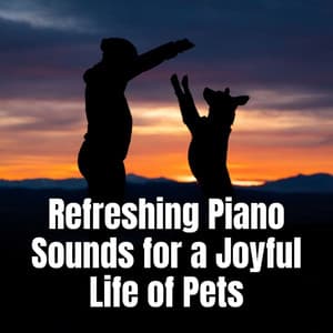 Refreshing Piano Sounds for a Joyful Life of Pets - Christian Piano Music