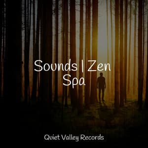 Sounds | Zen Spa - Tranquil Music Sound of Nature