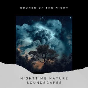 Nighttime Nature Soundscapes - Sounds of the Night