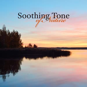 Soothing Tone of Nature: Natural Sounds of All Nature Including Birds, Watefalls, Rain, Storm - Calming Water Consort