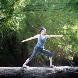 Nature's Melodic Journey: Relaxing Ambient and Forest Insect Yoga - Nature Hiker