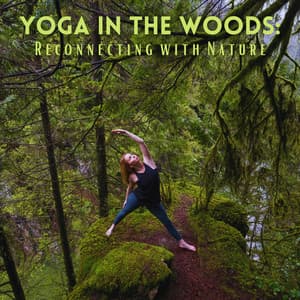 Yoga in the Woods: Reconnecting with Nature - Nature Soundscape