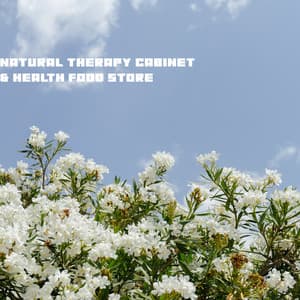 Natural Music Background for Natural Therapy Cabinet & Health Food Store - New Age Wellness Creator