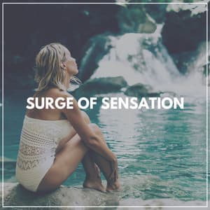 Surge of Sensation - Water Rock Soundscapes