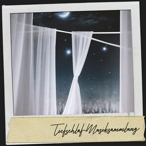 Tiefschlaf-Musiksammlung: Wiegenlieder aus dem mondbeschienenen Garten - Relajacion